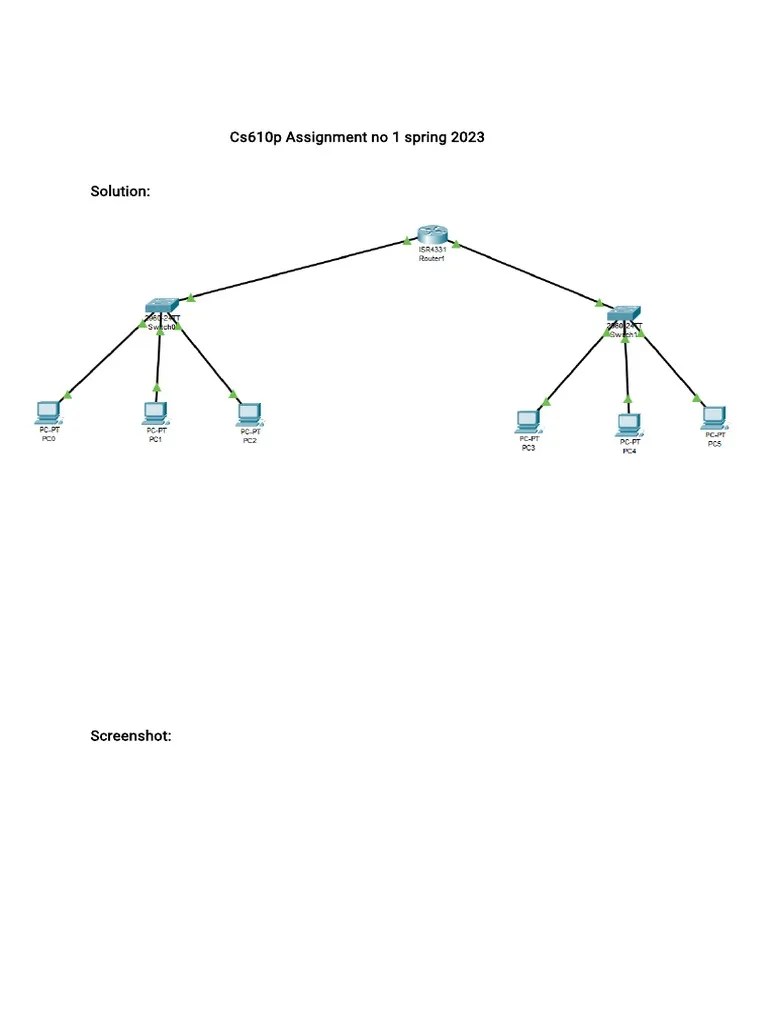 Cs610p Assignment Solution By Pin2 | PDF