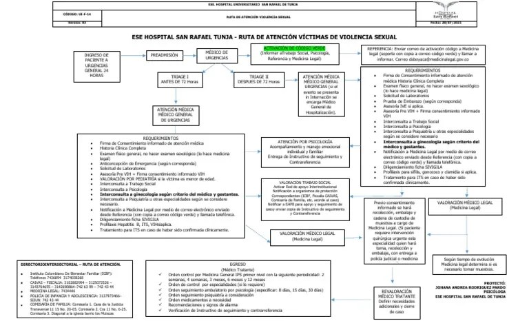 Ui-F-14 Ruta De Atencion De Violencia Sexual V3 | PDF