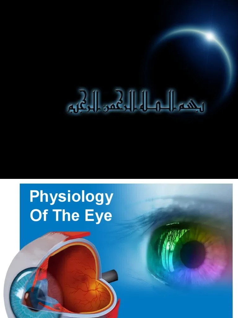 Physiology Accommodation | Download Free PDF | Visual Perception | Eye