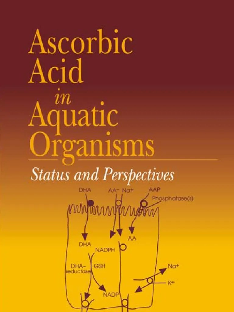 Acido Ascorbico Vitamin C Antioxidant
