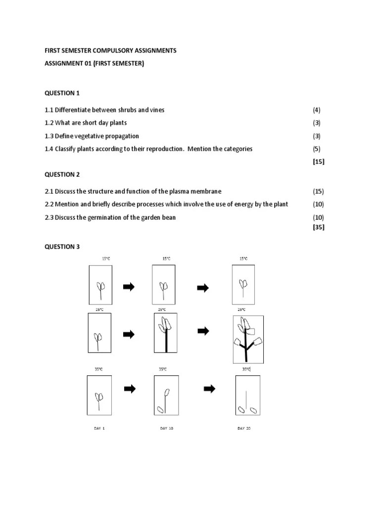 PTP1501 2023 Assignment Ass1 Sem1 | PDF | Plants | Leaf
