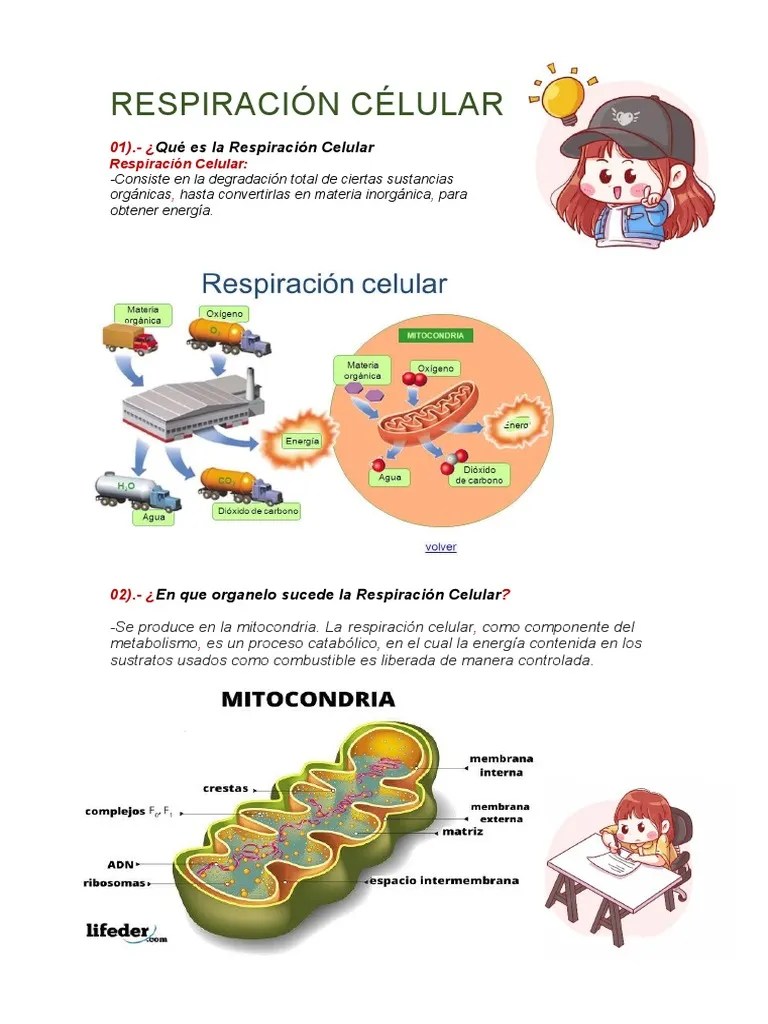 Ciencias Tarea | PDF