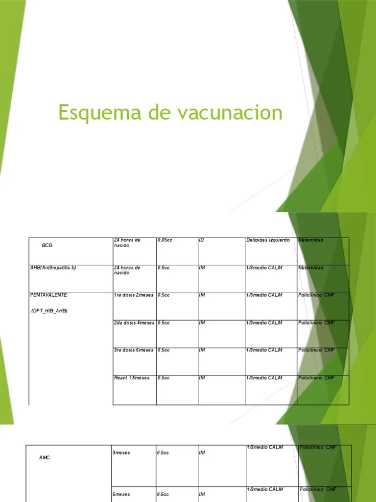 Esquema De Vacunacion | PDF | Virología | Medicina