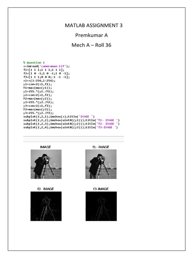 Matlab Assignment 3 | PDF