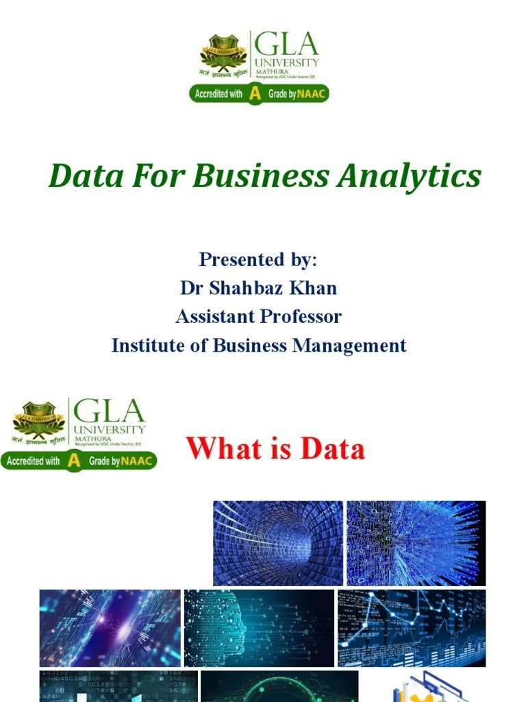 Data For Business Analytics | PDF | Data | Categorical Variable
