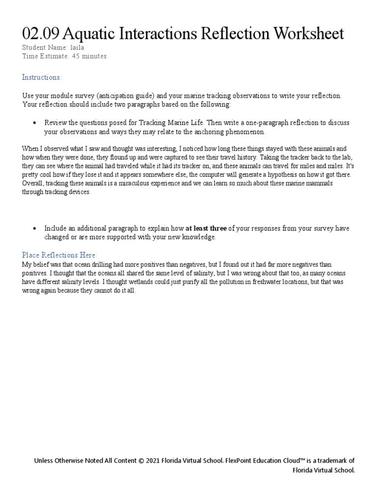 02 09 Reflection Worksheet 1 | PDF