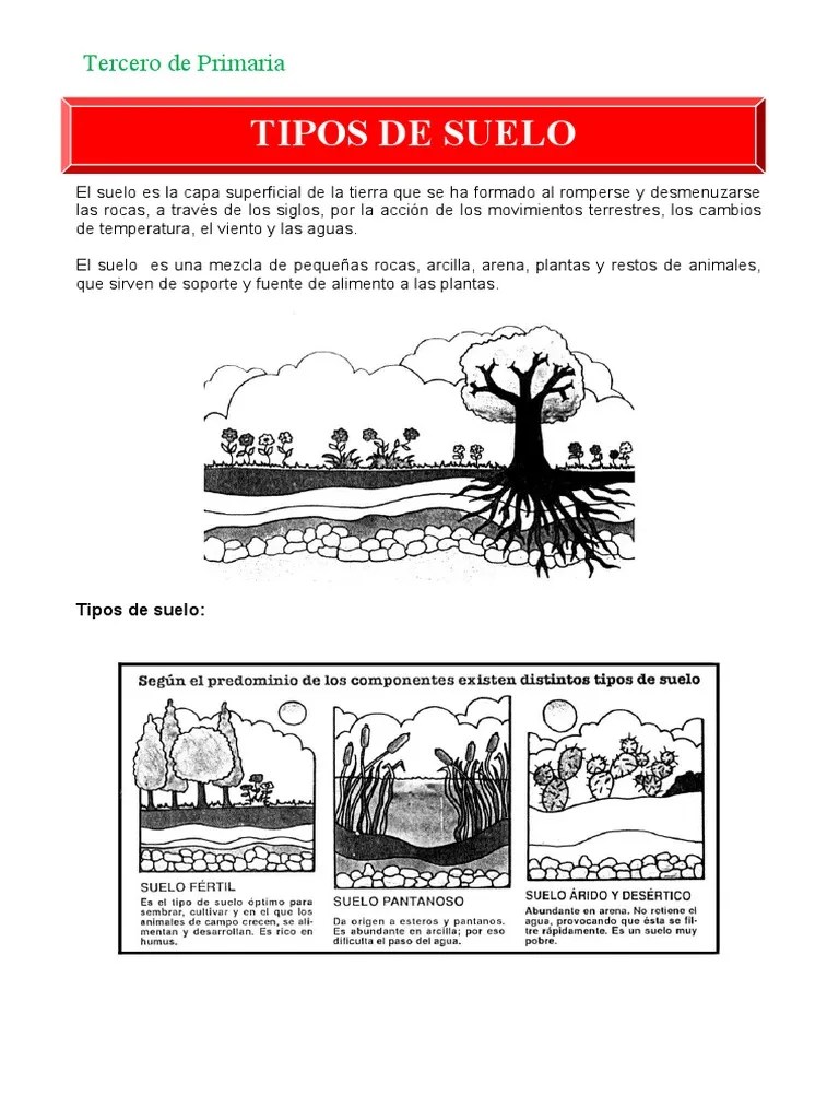 Ficha De Tipos De Suelo Para Segundo De Primaria Pdf - Elegant Nature Wallpaper - Full HD