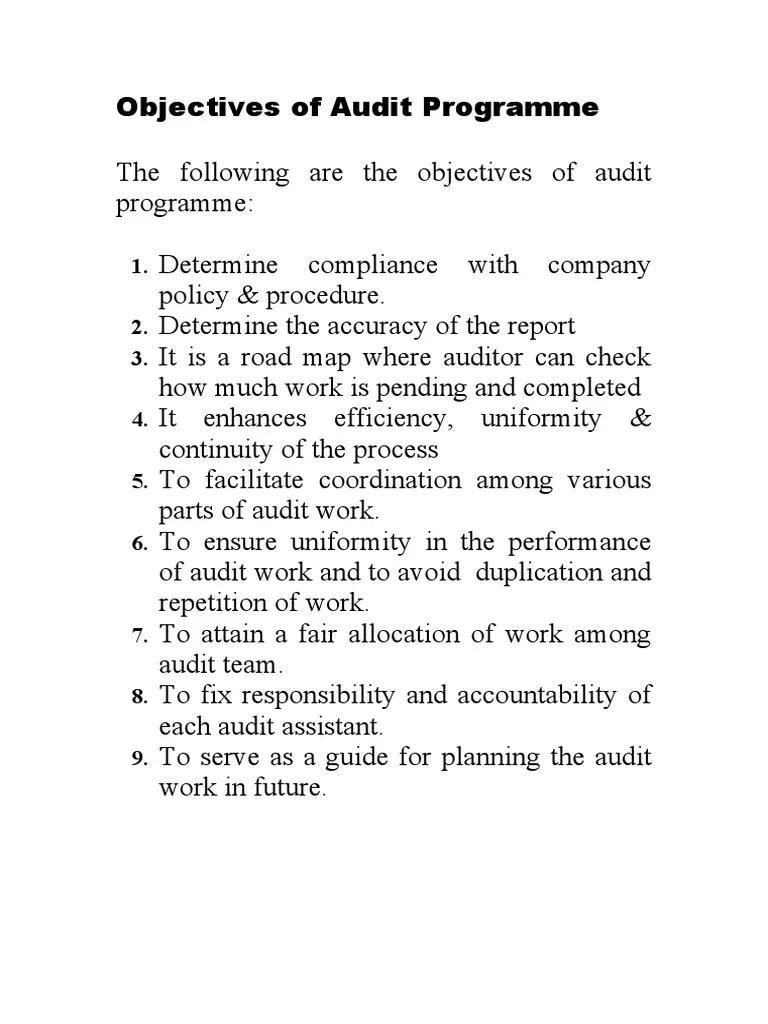 Audit Programme & Audit Report | PDF