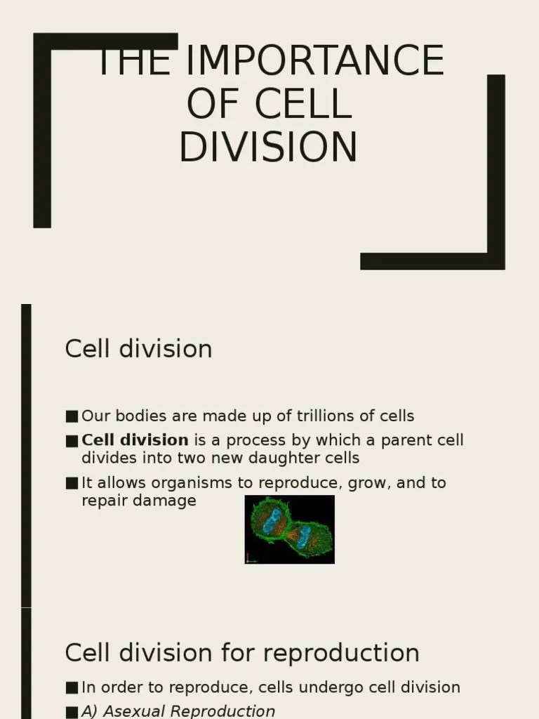 Lesson 3 The Importance Of Cell Division | PDF