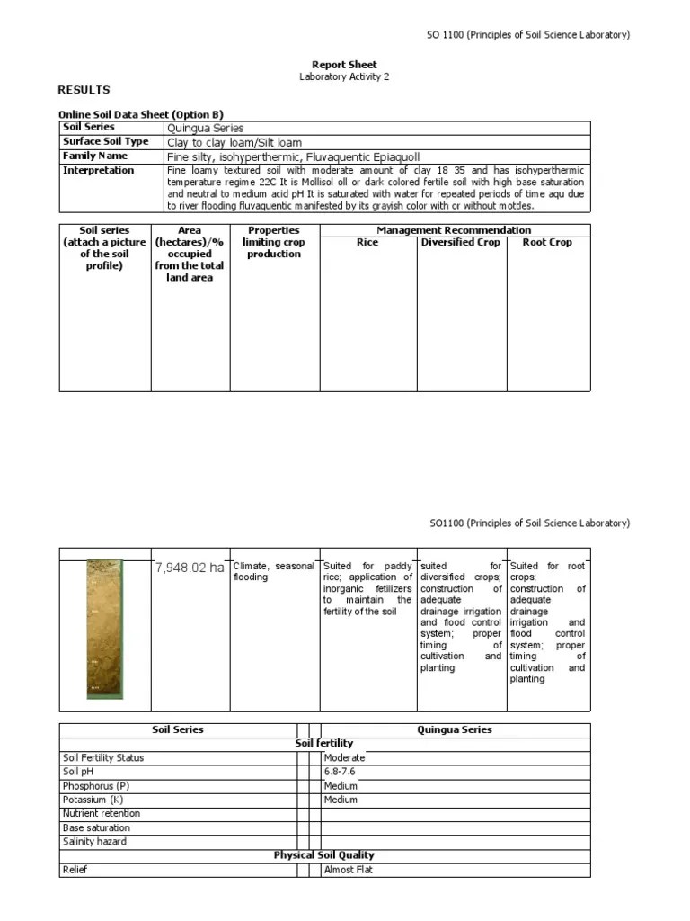 Soils Lab Report 2 | PDF | Soil | Soil Fertility