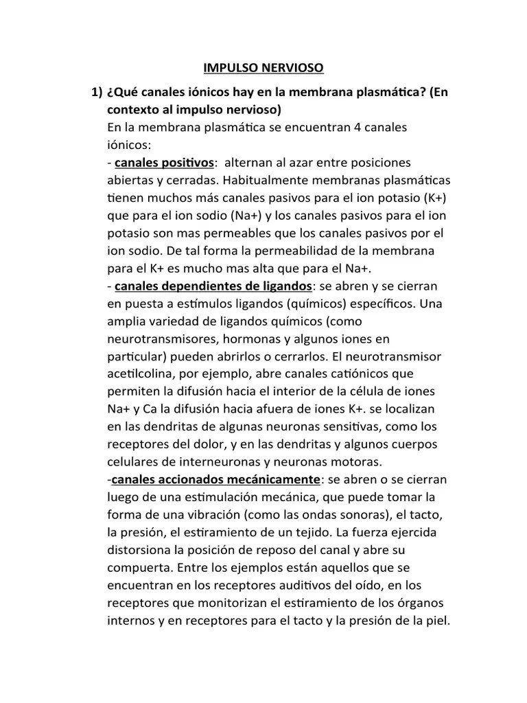 Clase N5 Nba | PDF | Potencial De Acción | Axon