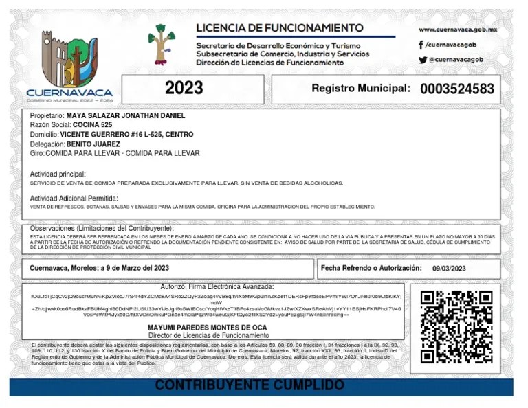 Licencia | PDF | Gobierno