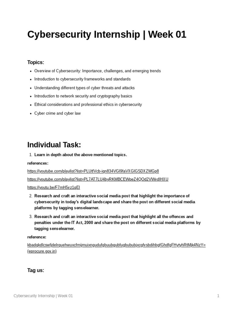 Cybersecurity Internship Week 01 | PDF | Computer Security | Security