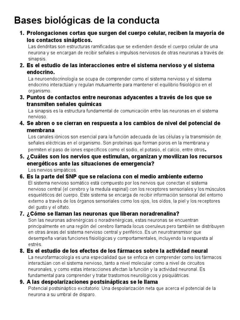 Bases Biologicas De La Conducta | PDF | Neurona | Sistema Nervioso