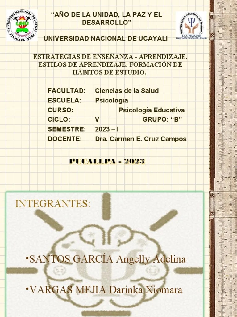 Estrategias De Enseñanza Y Aprendizaje Mejorado Expo Pdf