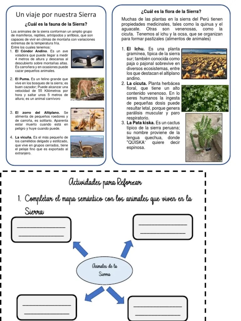 Formato P.S.Flora Y Fauna De La Sierra 19-06 | PDF | Organismos