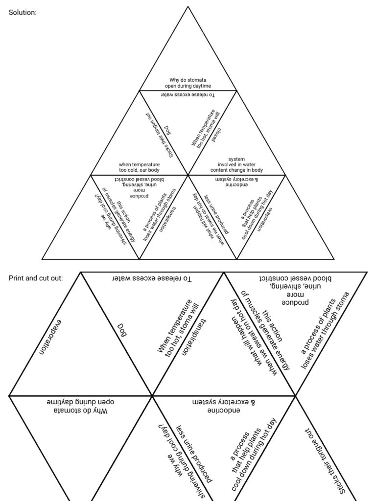 Tarsia Sains Ting 1 | Download Free PDF | Anatomy