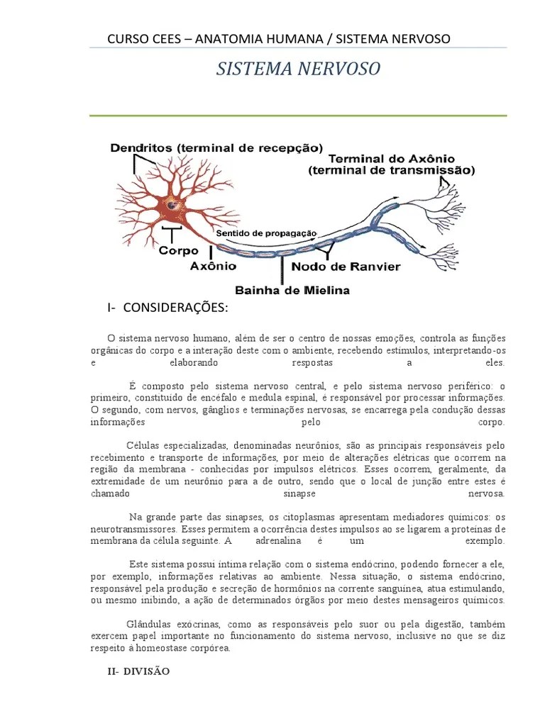 Apostila Do Sistema Nervoso | PDF | Sistema Nervoso Central | Cérebro