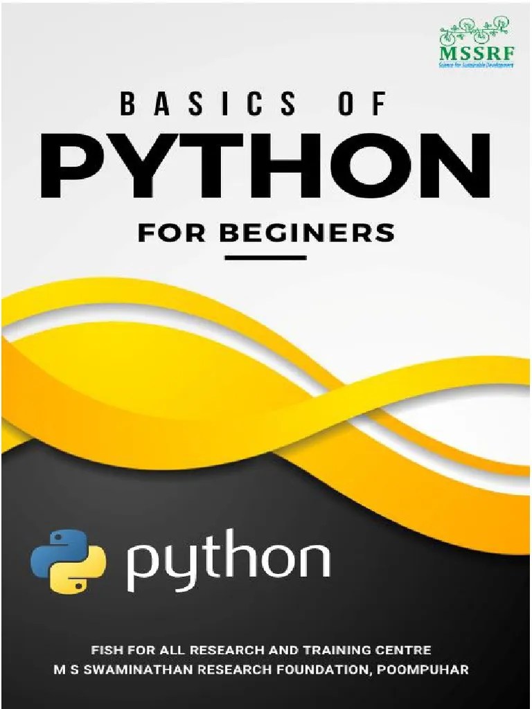 Python Basics For Beginners Guide Pdf Parameter Computer