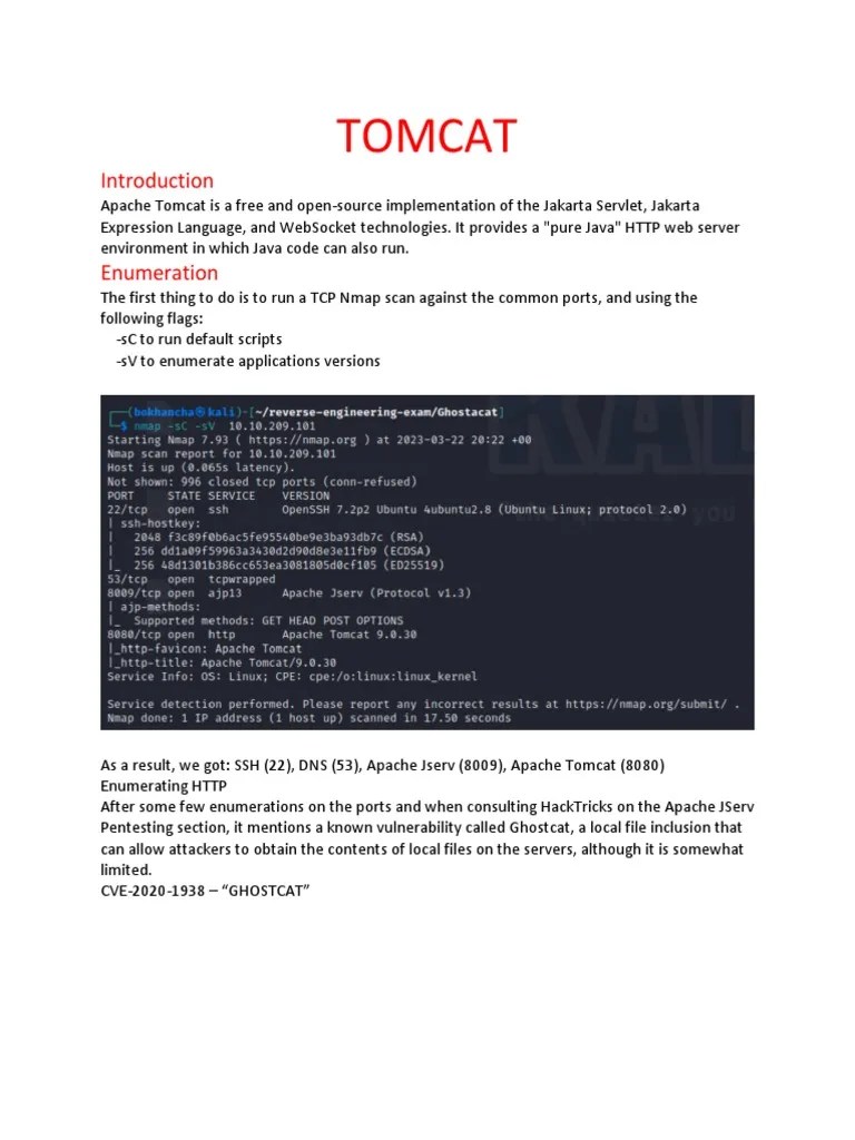 Reverse Engineering | PDF