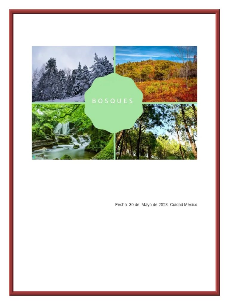 Bosques | PDF