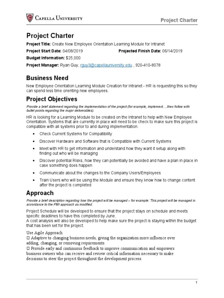 Group 1 Project Charter | PDF | Project Management | Product Lifecycle