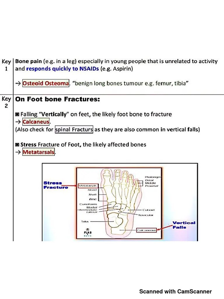 Orthopedics Notes - 20190905080520 | PDF
