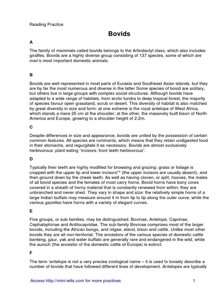 Ielts Reading - Bovids | PDF | Bovidae | Antelope