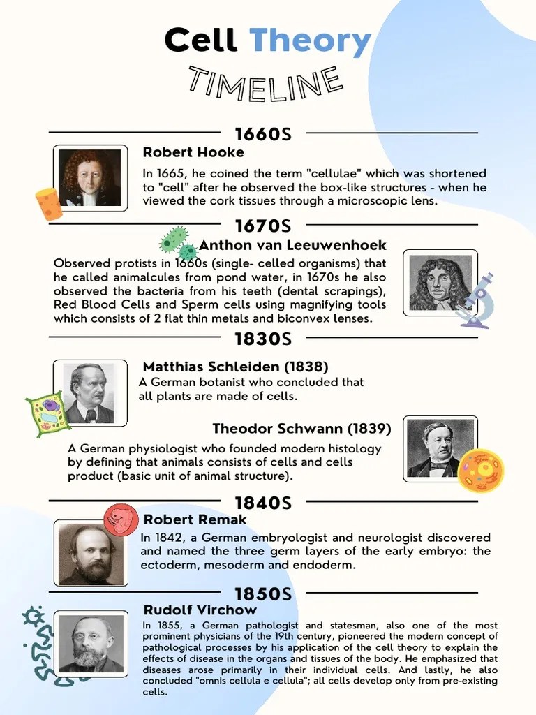 Cell Theory Timeline | PDF