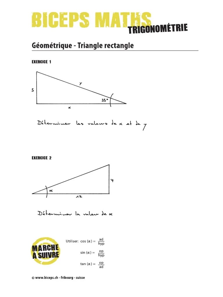 Triangle Rectangle | PDF