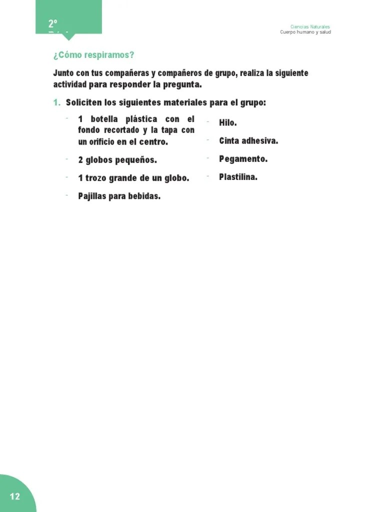 Guia Cs. Naturales | PDF | Adhesivo