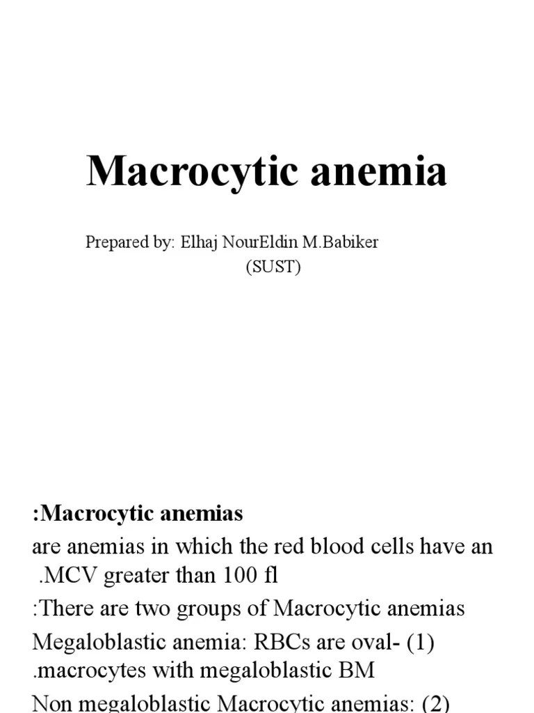 Macrocytic Anemia | PDF | Vitamin B12 | Anemia