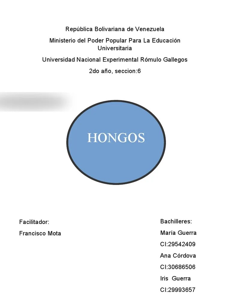 Clasificacion De Los Hongos | PDF | Hongo | Espora