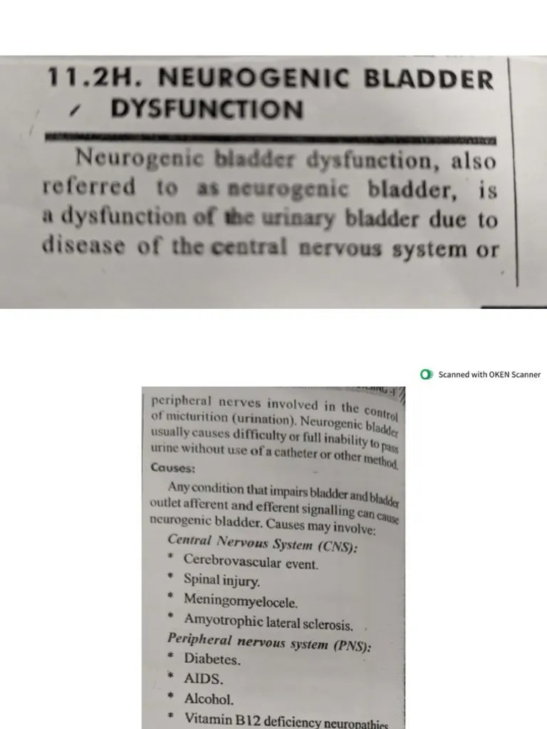 Neurogenic Bladder Dysfunction | PDF