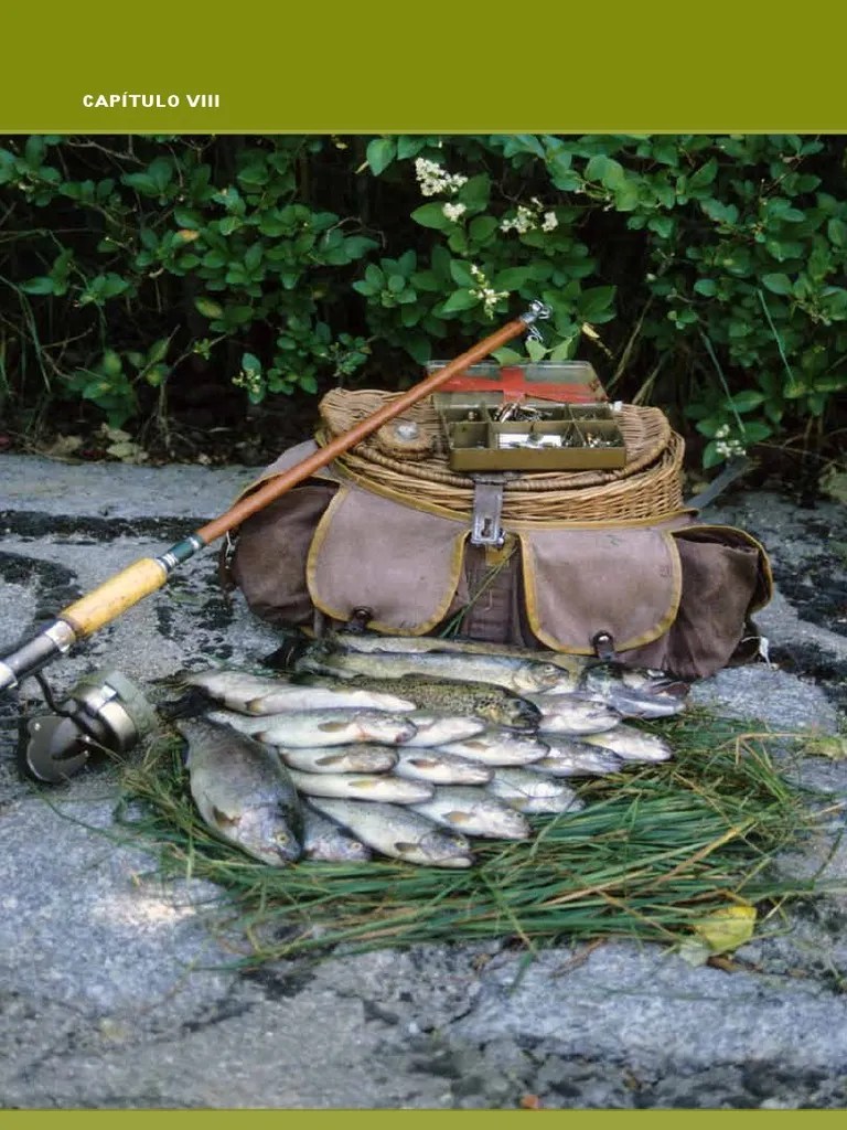 Caza Y Pesca | PDF | Caza | Caza Mayor