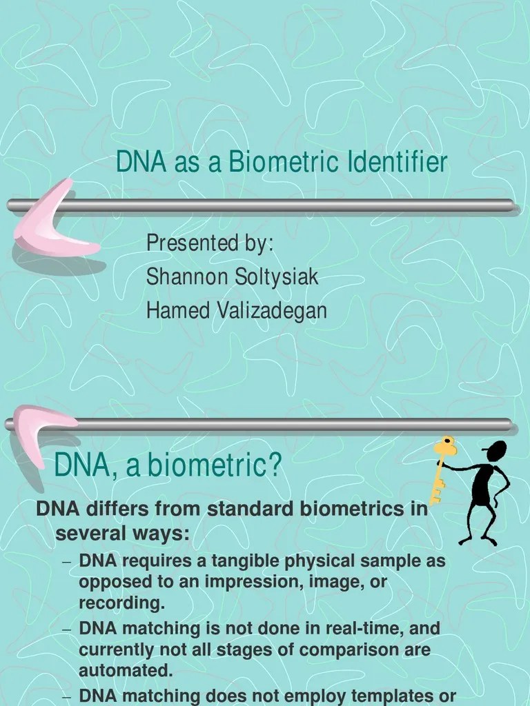 DNA As A Biometric Identifier: Presented By: Shannon Soltysiak Hamed Valizadegan | PDF ...