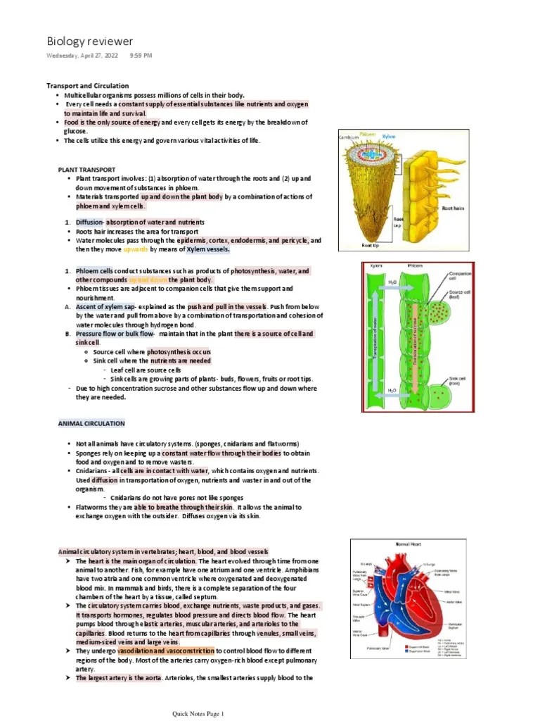 Biology Reviewer Edited | PDF