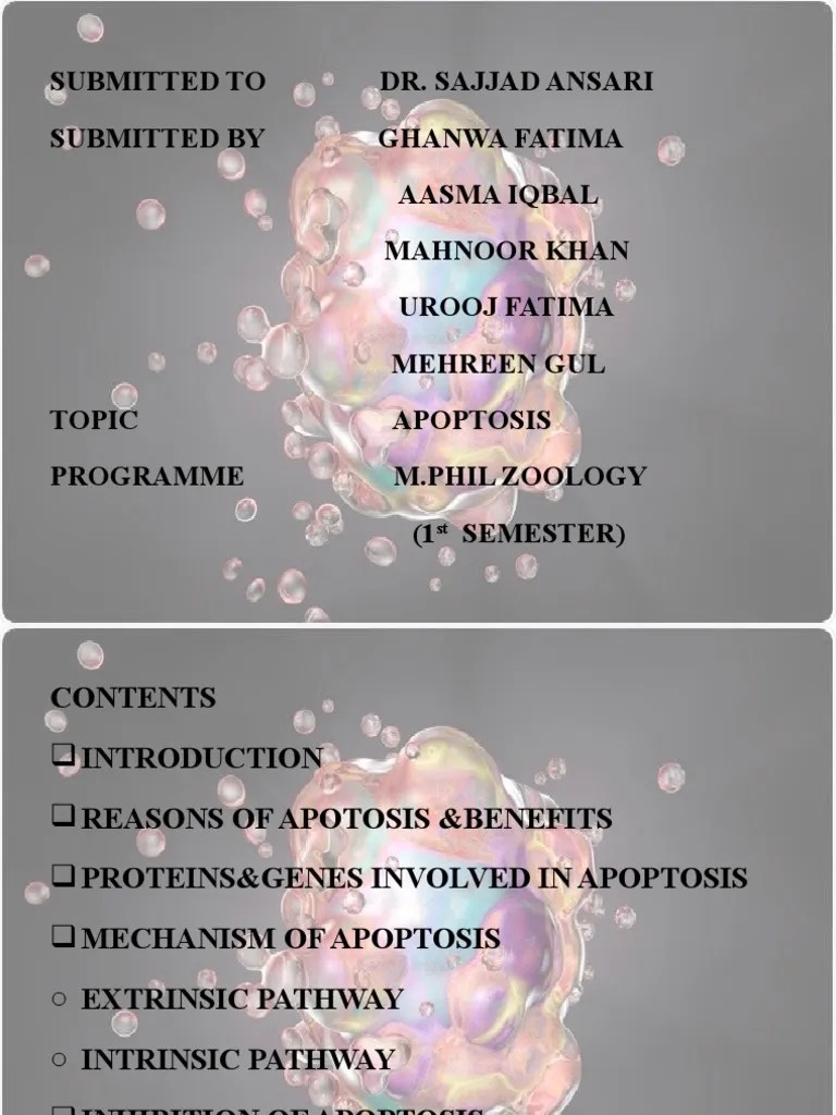 Apoptosis | PDF