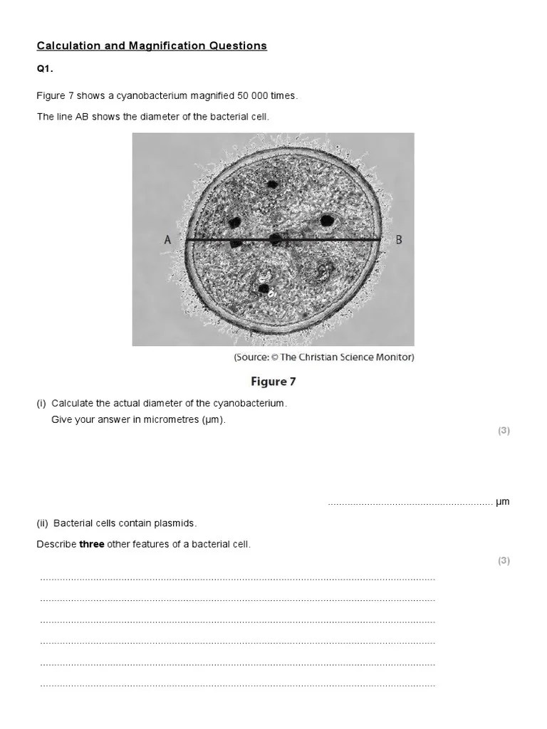 Calculation-Magnification-Qs Pack-Gcse | PDF | Micrograph | Cell (Biology)