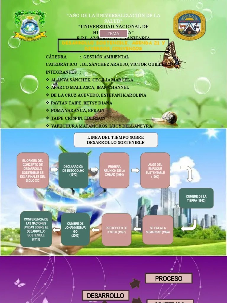 Desarrollo Sostenible P1 | PDF | Sustentabilidad | Desarrollo Sostenible