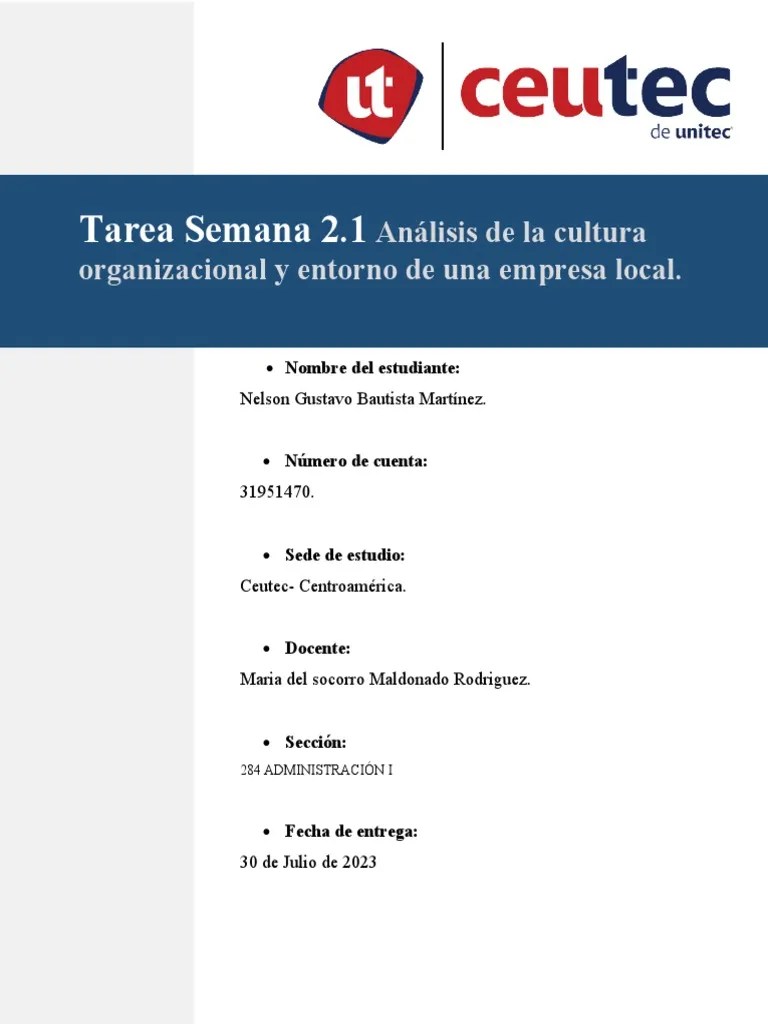 Cultura Organizacional | PDF
