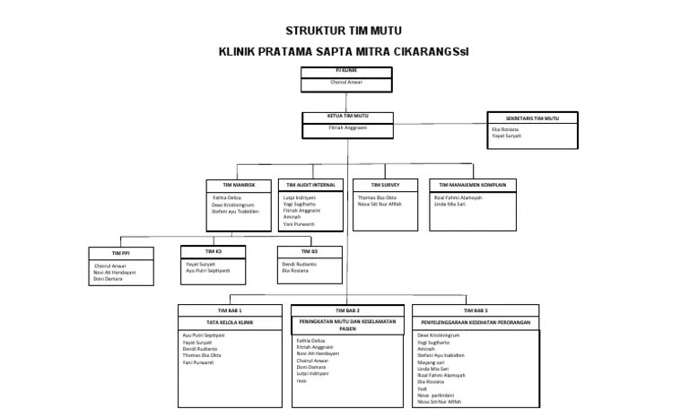 Struktur Tim Mutu | PDF