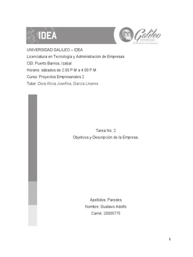 Tarea 2 Proyectos Empresariales 2 | PDF | Business | Cliente