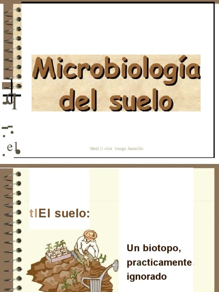 Microbiologa Del Suelo | PDF | Suelo | Microorganismo