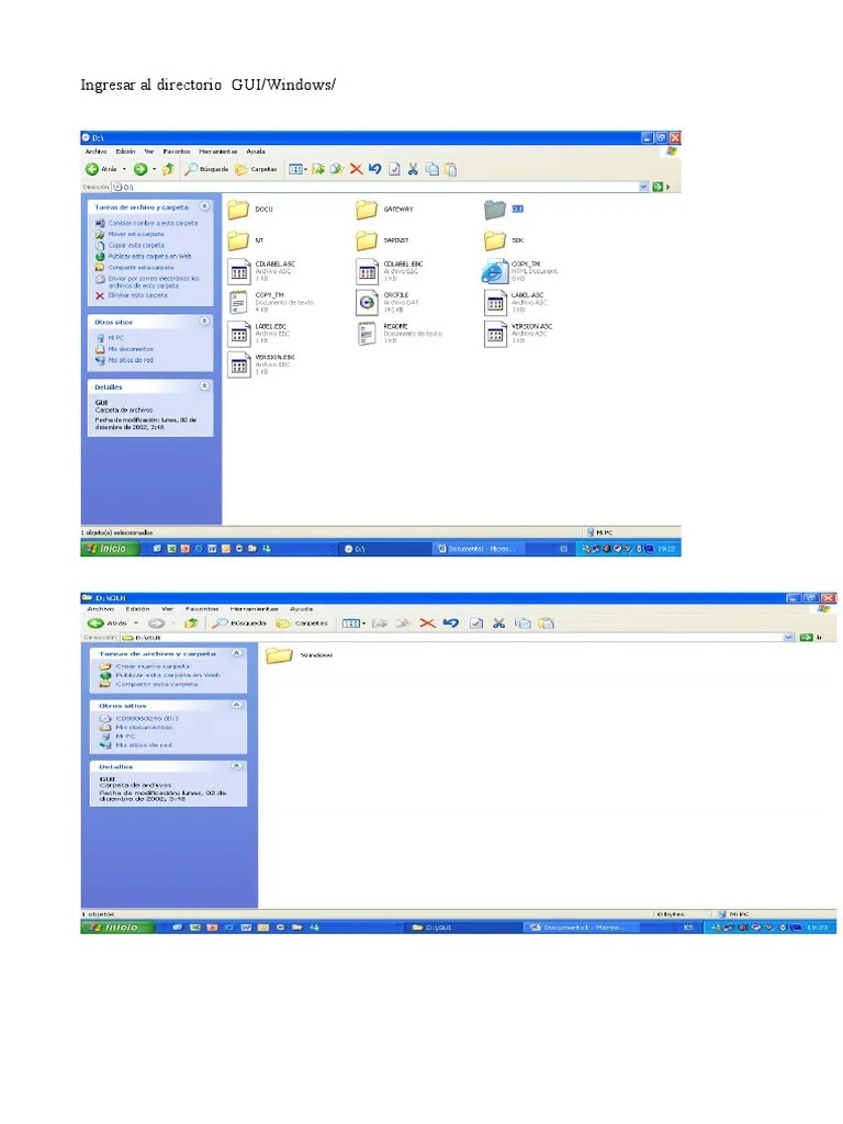 SAP - GUI Instalacion 6 20 | PDF