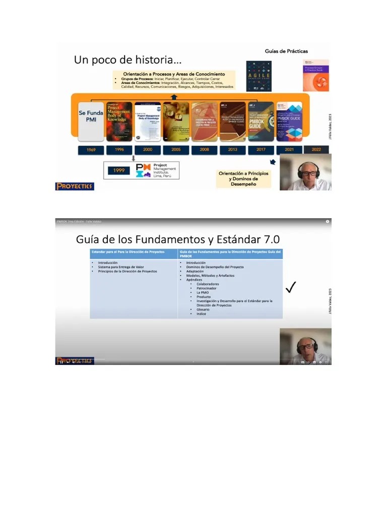 Pmbok 7ma Edicion | PDF