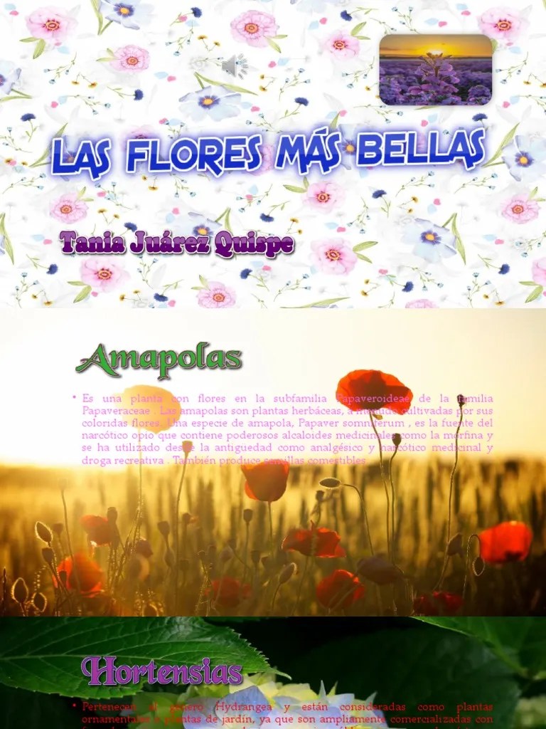 Las Flores Mas Bellas | PDF