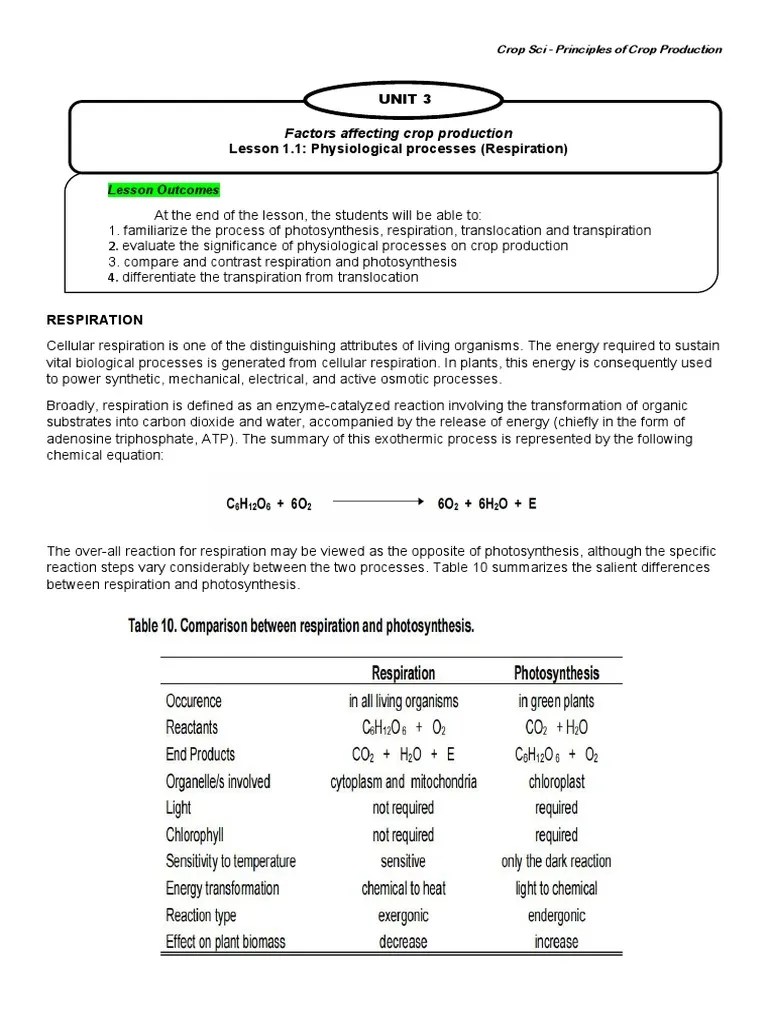 UNIT 3 - Lesson 1.1 | PDF