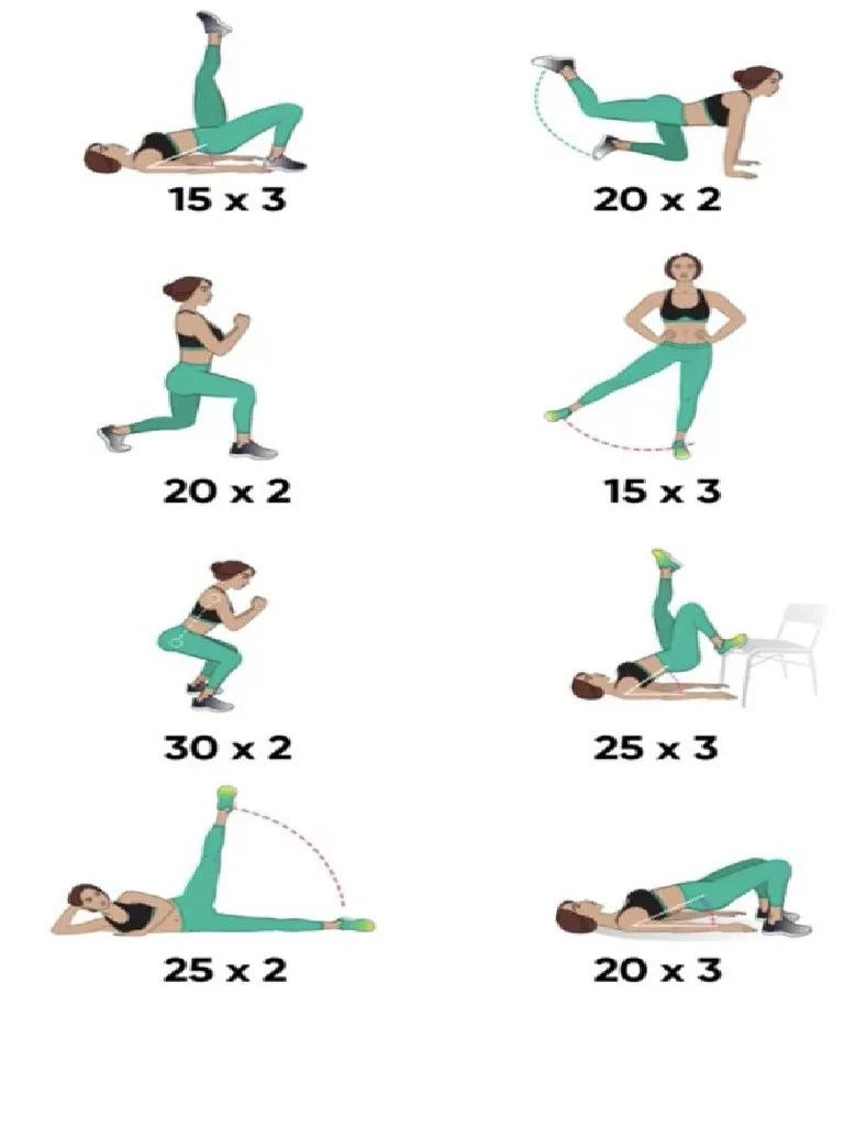 Daily Exercises For Beginners | PDF