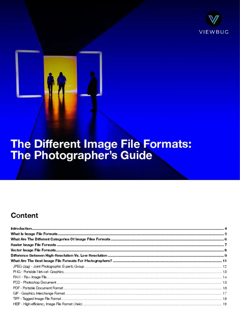 The Different Image File Formats - The Photographer's Guide | PDF | Raw ...